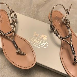 Coach strap sandals